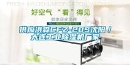 供应洪森CFZ-20S沈阳／大连工业除湿机厂家