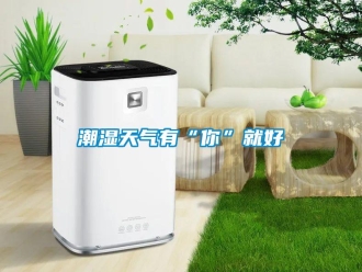 企业新闻潮湿天气有“你”就好