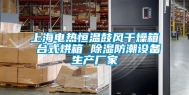 上海电热恒温鼓风干燥箱 台式烘箱 除湿防潮设备生产厂家