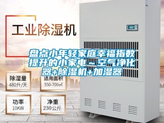 行业新闻盘点小年轻家庭幸福指数提升的小家电～空气净化器+除湿机+加湿器