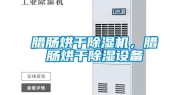 腊肠烘干除湿机，腊肠烘干除湿设备