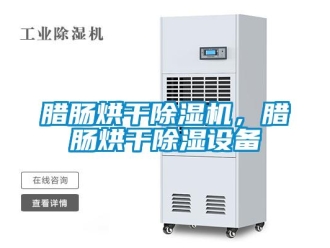 行业新闻腊肠烘干除湿机，腊肠烘干除湿设备