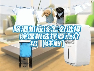 行业新闻除湿机应该怎么选择 除湿机选择要点介绍【详解】