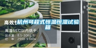 杭州可程式恒温恒湿试验箱