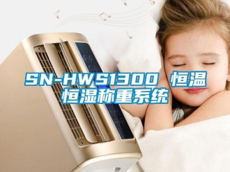 常见问题SN-HWS1300 恒温恒湿称重系统