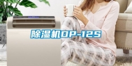 除湿机DP-12S