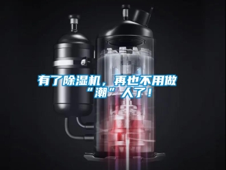 行业新闻有了除湿机，再也不用做“潮”人了！