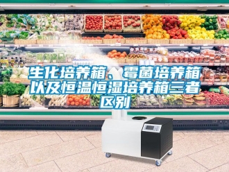 知识百科生化培养箱、霉菌培养箱以及恒温恒湿培养箱三者区别