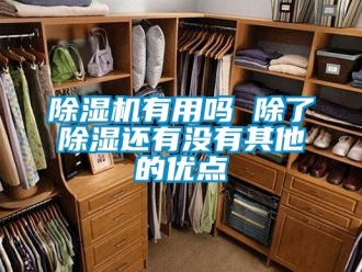 行业新闻除湿机有用吗 除了除湿还有没有其他的优点