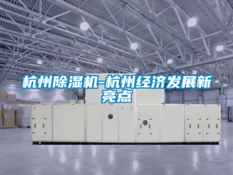 行业新闻杭州除湿机-杭州经济发展新亮点