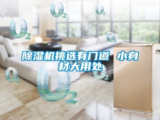企业新闻除湿机挑选有门道 小身材大用处