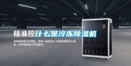 什么是冷冻除湿机