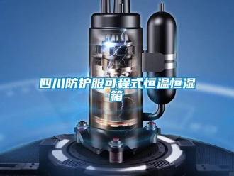 知识百科四川防护服可程式恒温恒湿箱