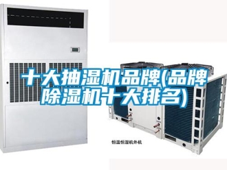 企业新闻十大抽湿机品牌(品牌除湿机十大排名)