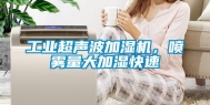 工业超声波加湿机，喷雾量大加湿快速