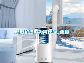 行业新闻除湿机造假为何泛滥_重复