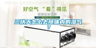 三伏天怎么去除体内的湿气？