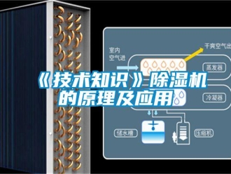 企业新闻《技术知识》除湿机的原理及应用