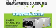 衣物保养离不开除湿机
