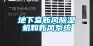 地下室新风除湿机和新风系统