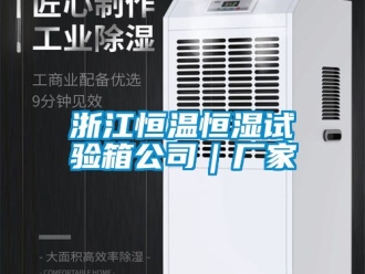 知识百科浙江恒温恒湿试验箱公司｜厂家