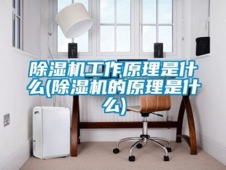 行业新闻除湿机工作原理是什么(除湿机的原理是什么)