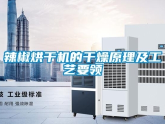 行业新闻辣椒烘干机的干燥原理及工艺要领