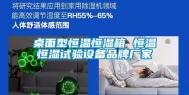 桌面型恒温恒湿箱 恒温恒湿试验设备品牌厂家