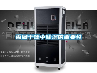 知识百科香肠干燥中除湿的重要性