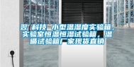 翌昇科技 小型温湿度实验箱，实验室恒温恒湿试验箱，温循试验箱厂家现货直销