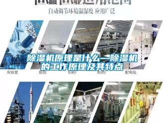 行业新闻除湿机原理是什么—除湿机的工作原理及其特点