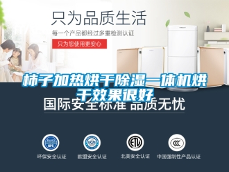行业新闻柿子加热烘干除湿一体机烘干效果很好