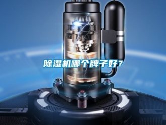 行业新闻除湿机哪个牌子好？