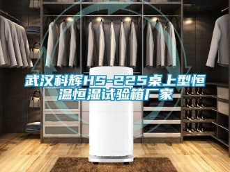 知识百科武汉科辉HS-225桌上型恒温恒湿试验箱厂家
