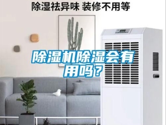 常见问题除湿机除湿会有用吗？