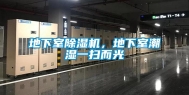 地下室除湿机，地下室潮湿一扫而光