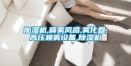 加湿机,喷雾风扇,雾化盘,高压喷雾设备,除湿机
