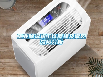 企业新闻工业除湿机工作原理及常见故障分析