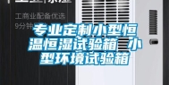 专业定制小型恒温恒湿试验箱 小型环境试验箱