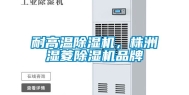 耐高温除湿机，株洲湿菱除湿机品牌