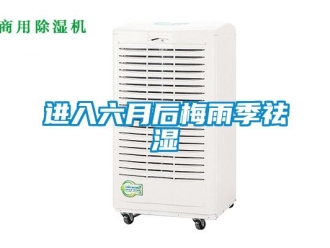 行业新闻进入六月后梅雨季祛湿
