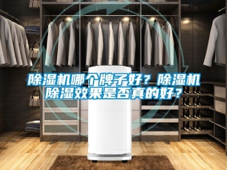 行业新闻除湿机哪个牌子好？除湿机除湿效果是否真的好？