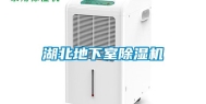 湖北地下室除湿机