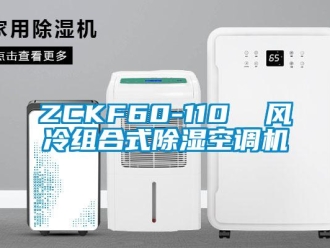 企业新闻ZCKF60-110  风冷组合式除湿空调机