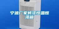 宁波厂家烤漆恒温恒湿箱