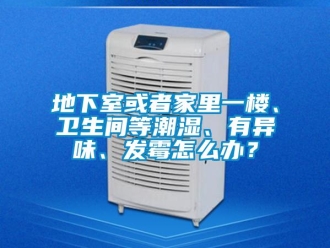 企业新闻地下室或者家里一楼、卫生间等潮湿、有异味、发霉怎么办？