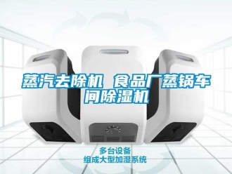 企业新闻蒸汽去除机 食品厂蒸锅车间除湿机