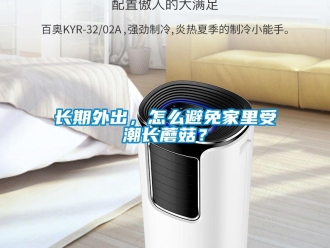 常见问题长期外出，怎么避免家里受潮长蘑菇？