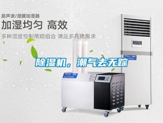 常见问题除湿机，潮气去无踪