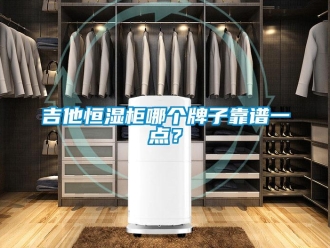 知识百科吉他恒湿柜哪个牌子靠谱一点？